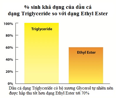 Quá trình hấp thu và chuyển hóa Triglycerid tự nhiên hiệu quả hơn 1