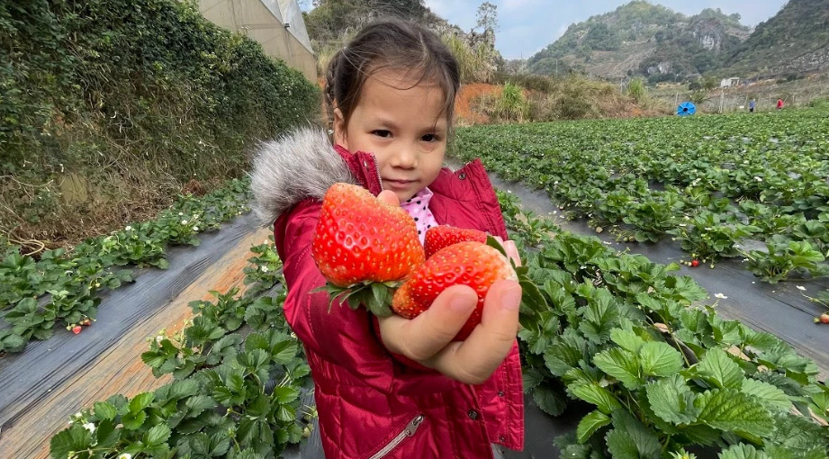 ''Con nhà người ta'' 4 tuổi làu làu 5 thứ tiếng, bố bé khẳng định không ép con nhưng luôn tạo cảm hứng, bố mẹ không giỏi ngoại ngữ vẫn có thể dạy con bằng 3 cách này - Ảnh 4.